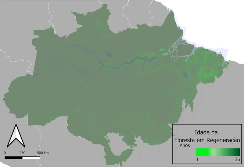 Florestas secundárias na Amazônia
