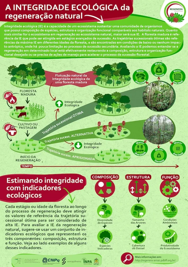 O conceito de integridade ecológica das florestas em regeneração